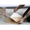Catastrophic Creations Cat Step Bamboo Shelf w/Cork Pad — Cat