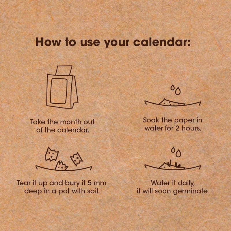 Plantable Calendar 2025