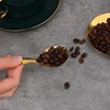 5 PCS Short Handle Spoons Gold Mini Scoops Stainless Spoons
