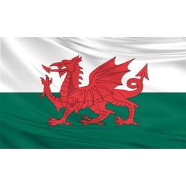 Wales Welsh Dragon St David Large Polyester Fabric Flag 5ft x 3ft