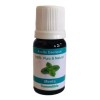 Naturaly Aceite Esencial Menta Piperita Comestible 100%  Puro 30 Ml
