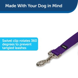 Premier Leash, 1 by 6-Feet, Deep Purple