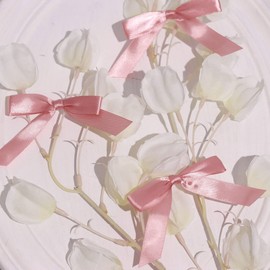 Balsa Circle 50 Dusty Rose 3" Pre Tied Mini Satin Ribbon Twist Tie Bows for Gift Wrapping Wedding Birthday Favor Decorations Supplies