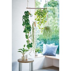 Tokyodo Artificial Flowers MAGIQ Green Necklace Hanging Green W 7.9 x H 13.8 x H 23.6 inches (20 x 35 x 60 cm) Pot Φ3.1 x H 2.4 inches (8 cm) FZ000125-zzz