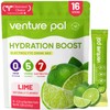 Venture Pal Sugar Free Electrolyte Powder Packets - Liquid Daily