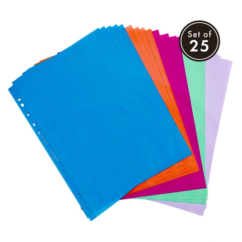 Pukka Pad, Concord A4 Coloured Punched Pockets – 1 Pack
