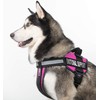 Dogline Vest Harness for Dogs and 2 Removable Emotional Support