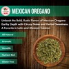 Dried Mexican Oregano (5 oz) – Fresh and Fragrant -