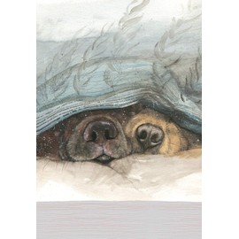ALEX CLARK Snouts Dog Kitchen Tea Towel - 100% Cotton