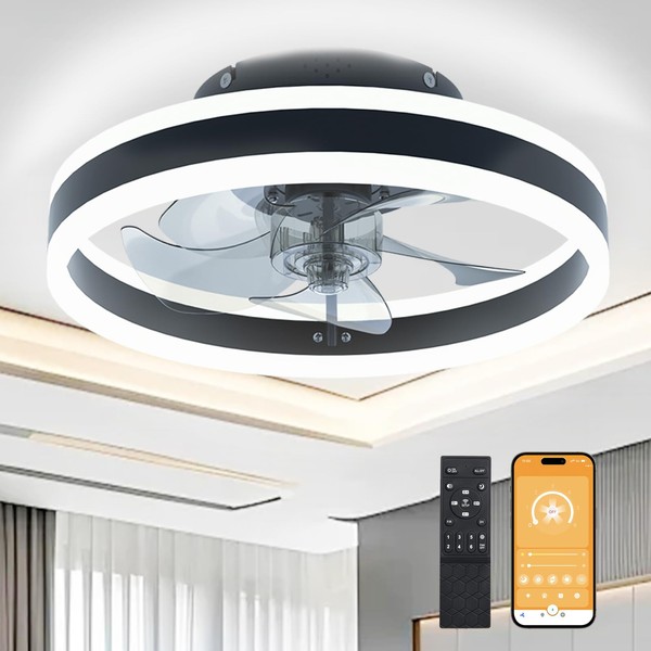 Ceiling Fans with Lights and Remote, 20'' Low Profile Ceiling