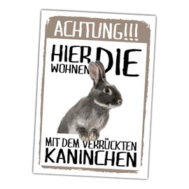 siviwonder Achtung Kaninchen hier wohnen Sign Funny with Saying Door Sign Warning Sign Fun Metal Sign 20 cm x 14 cm x 0.3 cm Aluminium