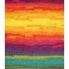 Wollbiene Batik Wool with Colour Gradient, Multicoloured Knitting Wool, Crochet