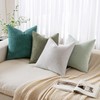 MIULEE Pack of 2 Decorative Throw Pillow Covers Soft Chenille