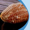 Sangcca Meat Net, Ham Net, Roasting Net, 2 Rolls Cotton