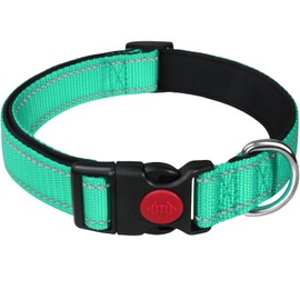 LARRYROO Reflective Dog Nylon Collar | Slide Lock Safety Buckle | Fully Adjustable | Soft Neoprene Padding (Turquoise, Small (25cm - 40cm Neck))