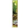 Judaica Place Asher Yatzar Laminated Card 5" x 7.5"