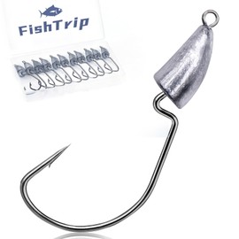 FishTrip Bullet Jig Head Weighted Hooks,10pcs Texas Rigs EWG Hooks for Bass Fishing Saltwater 1/6 oz