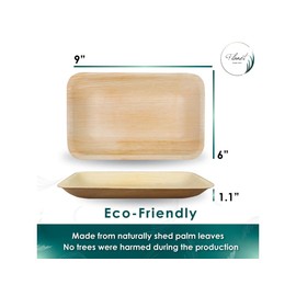 Planet Pantry Disposable Tableware Premium Heavy Duty Eco-Friendly Wooden Style Plate for Party Wedding Event (Pack of 200, 9"x6" Rectangle Deep Plate)