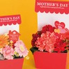Flower PP Pick Mother's Day Bring (30 Pieces) Ma –