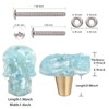 Amogeeli 4Pcs Skull Crystal Resin Brass Knobs with Screws, Decorative