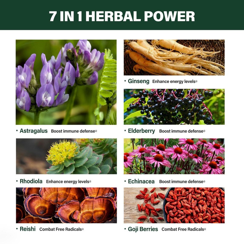 Verdeherb Astragalus Herbal Supplement, Unlock Your Health Potential with Our