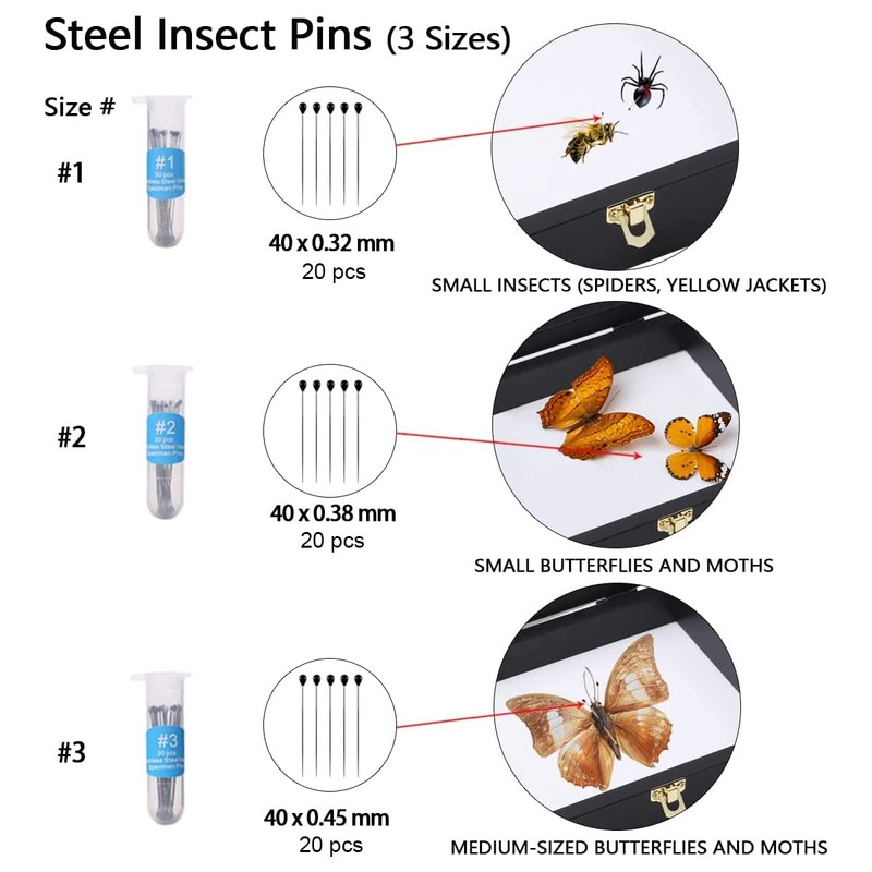 IHEIPYE Insect Display Case Wall Mount Bug Display Case Collection
