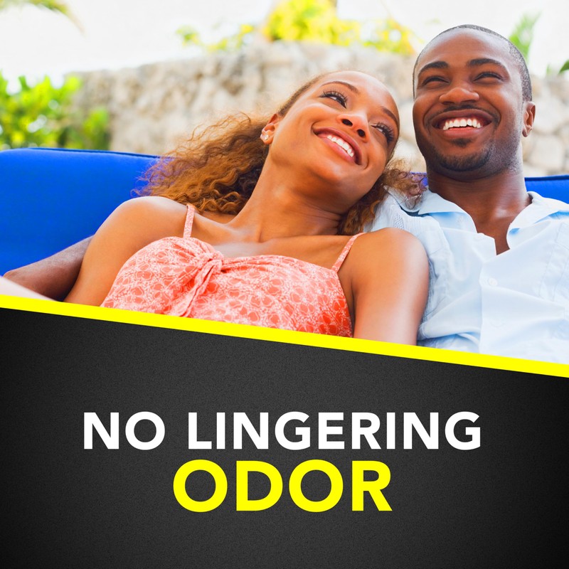 Raid Multi Insect Killer Aerosol Kills Ants Spiders Roaches and