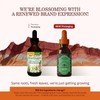 Herbs Etc. ChlorOxygen Chlorophyll Concentrate - Highly-Concentrated Energy Support -
