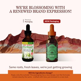 Herbs Etc. ChlorOxygen Chlorophyll Concentrate - Highly-Concentrated Energy Support - Aids Healthy Blood Circulation - Natural Vitality Support - Alcohol-Free - Mint, 2 fl oz (About 132 Servings)