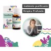 Nativa5 Aceites Aromaterapia Difusor Citric, Love, Guardian & Sleep
