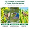 Transparent Anti-Bird Netting for Garden, Grapes, Orchard & Fishpond –