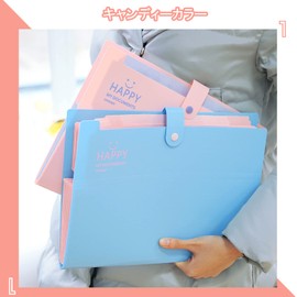 DY.2ten A4 File Case, Set of 3, 12 Pockets, Document File Storage Case, Accordion Folder, Office, Business, Home, Large Capacity, Document Storage Case, Documents, Storage, Organization, Sorting, 3 Colors (Blue, Pink, Green) with Color Labels