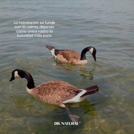 Dr. Natural Crema Corporal y Facial Hidratante Bebé y Niño Natural, Orgánica y Vegana Body Lotion | Hipoalergénica, Sin Parabenos, Sin Quimicos, Cruelty Free | Hecha de Plantas con Manteca de Karité