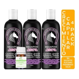 Shampoos Extracto Cola Caballo Aceite Bergamota