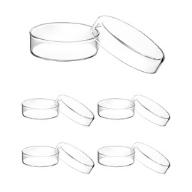 QWORK Glass Petri Dish Petri Plates with Lid, Thicken, 60mm x 18mm, 5 Pack