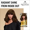 Schwarzkopf Oleo Intense Permanent Oil Colour 4-60 Gold Brown Hair