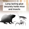 Victor M309 Professional Glue Boards for Insect and Rodent monitoring