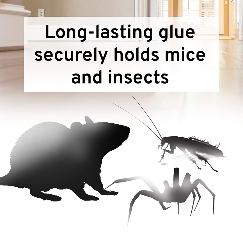 Victor M309 Professional Glue Boards for Insect and Rodent monitoring