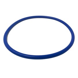 Pentair Trap Lid Assembly, IntelliFlo3 VSF, Almond 356172Z
