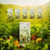 Hong Gil-dong Store Dr.Lin Organic Olive Oil Stick Spanish Olive