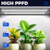 Barrina Barrina T5 Grow Lights for Indoor Plants Full Spectrum,