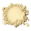 Kylie's Professional Mineral Goddess Loose Foundation, Heaven 8g