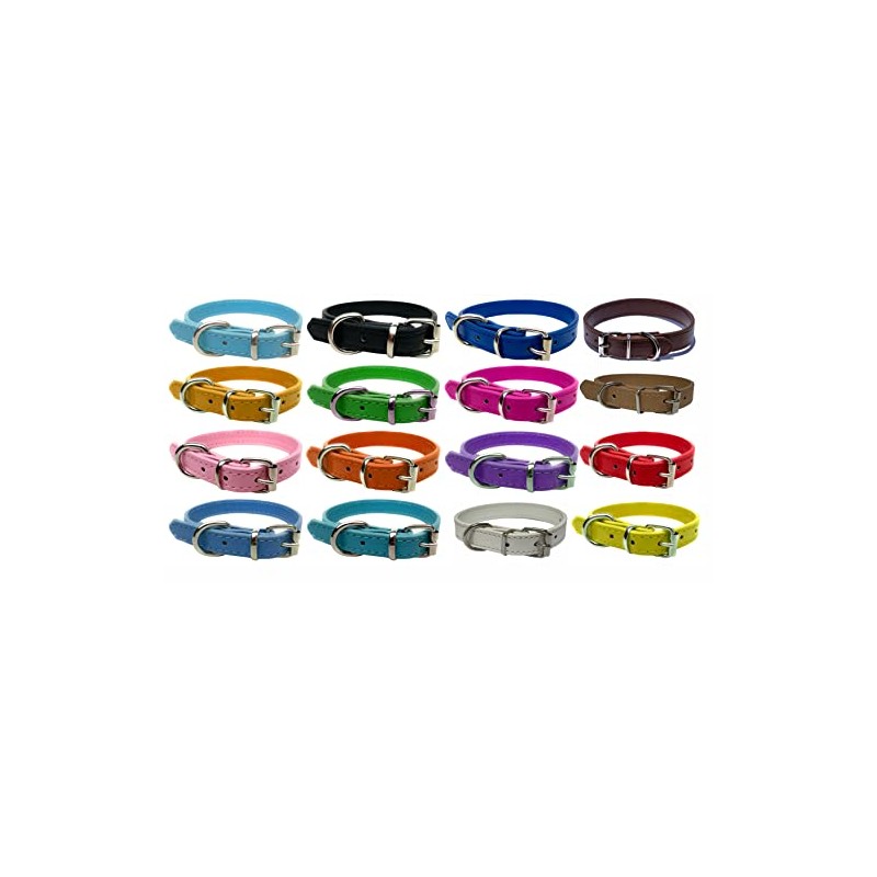 Vibrant Leather Dog Collar for Puppy, Cat, Kitten, Dogs -