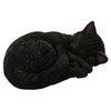 Vivid Arts - Sleeping Cat Black - XRL-ZC37-D