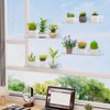 Lifewit 15" Acrylic Window Plant Shelves, 2-Pack Suction Cup Shelf