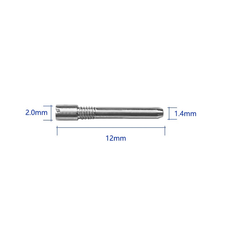4 PCS Watch Lug Screws Tube for AUDEMARS PIGUET AP