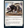 Release the Dogs