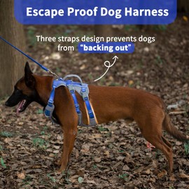 Huntboo Reflective Dog Harness with Handle, Escape Proof, No Slip, Breathable, Lightweight, Adjustable Lift Harness for Small, Medium, and Large Dogs Walking, Training, and Running Gear(Sea Blue,L)