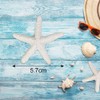 CODIRATO Pack of 15 Large Decorative Starfish Aquarium Starfish Resin