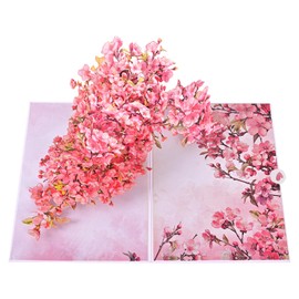 Pop Up Cards for Women, Flower Anniversary Pop Up Birthday Card, 3D Birthday Cards for Mum Wife Sister Daughter